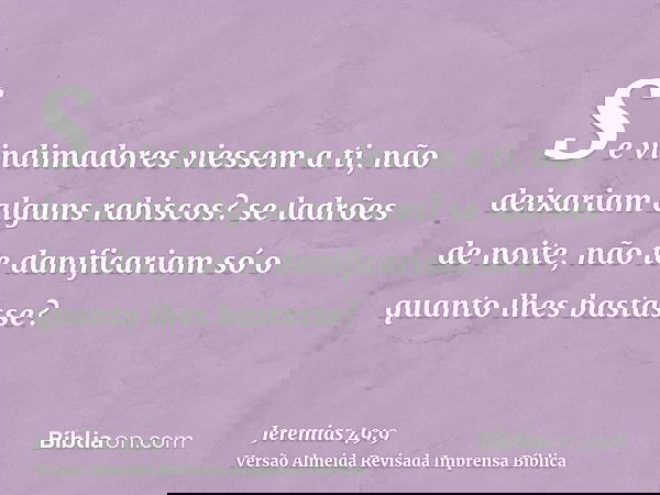 Se vindimadores viessem a ti, não deixariam alguns rabiscos? se ladrões de noite, não te danificariam só o quanto lhes bastasse?