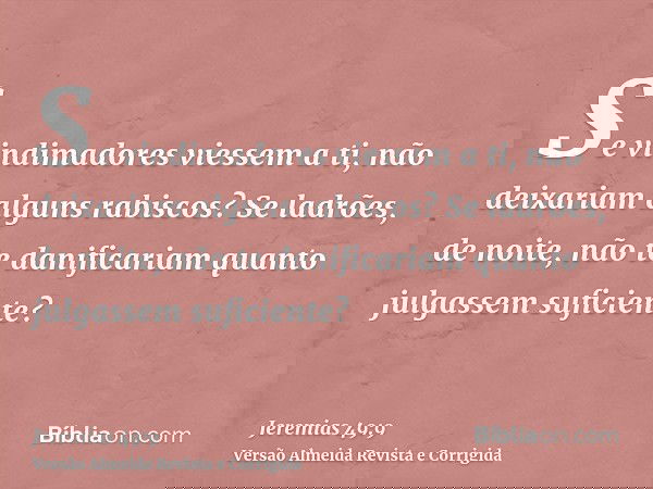 Se vindimadores viessem a ti, não deixariam alguns rabiscos? Se ladrões, de noite, não te danificariam quanto julgassem suficiente?