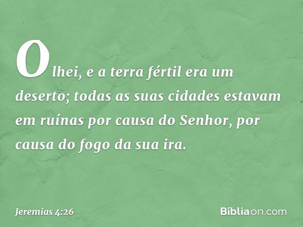 Olhei, e a terra fértil era um deserto;
todas as suas cidades estavam em ruínas
por causa do Senhor,
por causa do fogo da sua ira. -- Jeremias 4:26