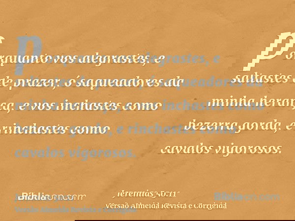 porquanto vos alegrastes, e saltastes de prazer, ó saqueadores da minha herança, e vos inchastes como bezerra gorda, e rinchastes como cavalos vigorosos.