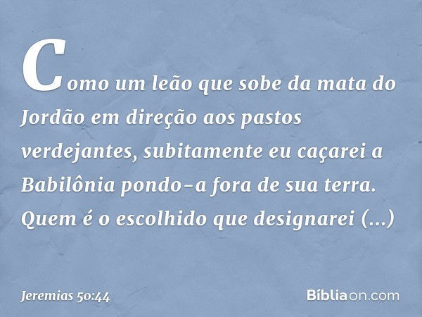 Como um leão
que sobe da mata do Jordão
em direção aos pastos verdejantes,
subitamente eu caçarei a Babilônia
pondo-a fora de sua terra.
Quem é o escolhido
que 