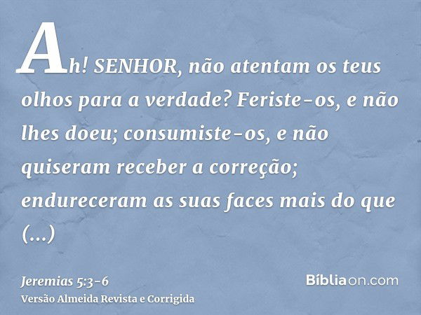 Ah! SENHOR, não atentam os teus olhos para a verdade? Feriste-os, e não lhes doeu; consumiste-os, e não quiseram receber a correção; endureceram as suas faces m