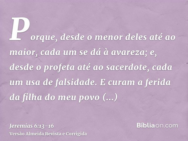 Porque, desde o menor deles até ao maior, cada um se dá à avareza; e, desde o profeta até ao sacerdote, cada um usa de falsidade.E curam a ferida da filha do me