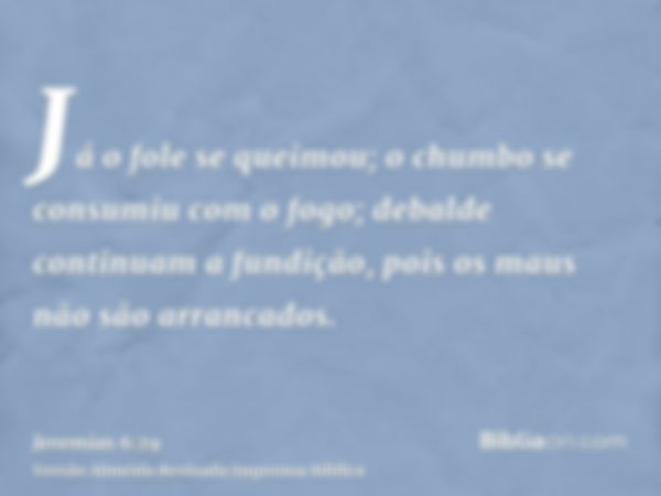 Já o fole se queimou; o chumbo se consumiu com o fogo; debalde continuam a fundição, pois os maus não são arrancados.