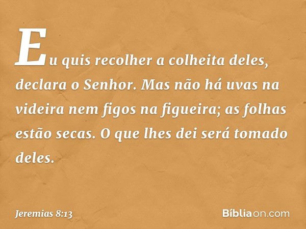 "Eu quis recolher a colheita deles",
declara o Senhor.
"Mas não há uvas na videira
nem figos na figueira;
as folhas estão secas.
O que lhes dei será tomado dele