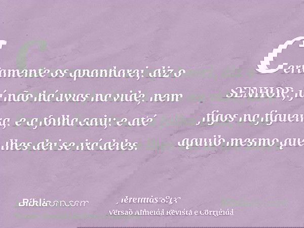 Certamente os apanharei, diz o SENHOR; já não há uvas na vide, nem figos na figueira, e a folha caiu; e até aquilo mesmo que lhes dei se irá deles.