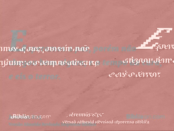 Esperamos a paz, porém não chegou bem algum; e o tempo da cura, e eis o terror.