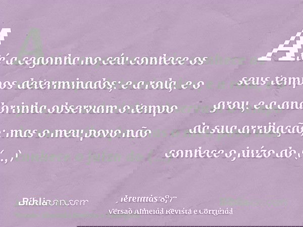 Até a cegonha no céu conhece os seus tempos determinados; e a rola, e o grou, e a andorinha observam o tempo da sua arribação; mas o meu povo não conhece o juíz