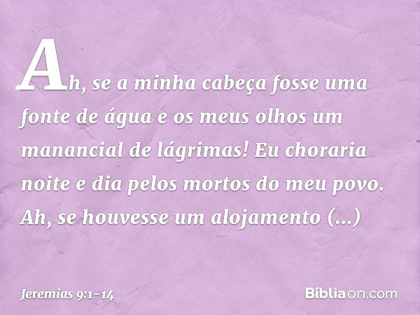 Ah, se a minha cabeça
fosse uma fonte de água
e os meus olhos
um manancial de lágrimas!
Eu choraria noite e dia
pelos mortos do meu povo. Ah, se houvesse um alo