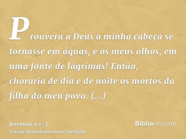 Prouvera a Deus a minha cabeça se tornasse em águas, e os meus olhos, em uma fonte de lágrimas! Então, choraria de dia e de noite os mortos da filha do meu povo