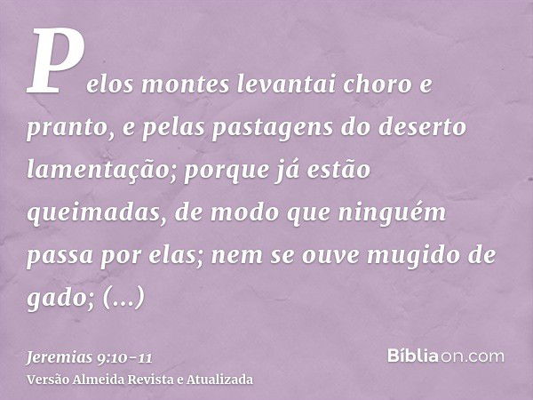 Pelos montes levantai choro e pranto, e pelas pastagens do deserto lamentação; porque já estão queimadas, de modo que ninguém passa por elas; nem se ouve mugido