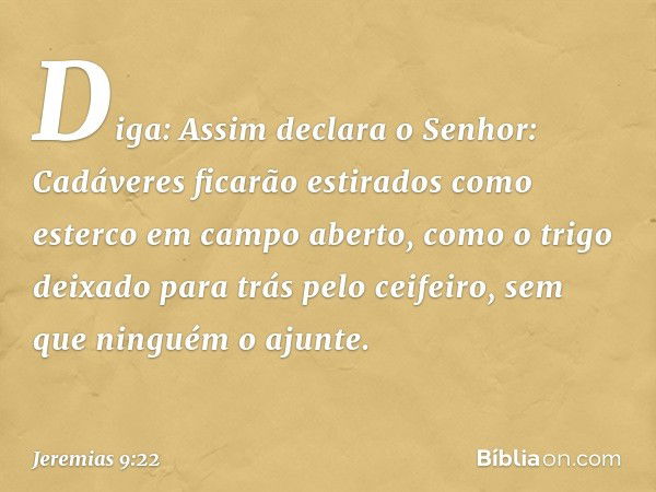 "Diga: Assim declara o Senhor:
"Cadáveres ficarão estirados
como esterco em campo aberto,
como o trigo deixado para trás
pelo ceifeiro,
sem que ninguém o ajunte