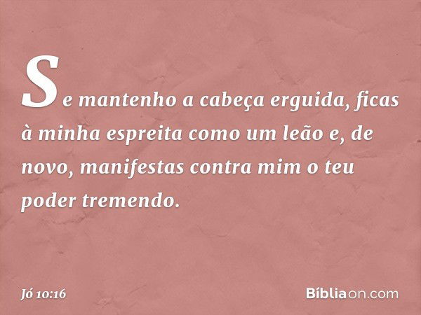 Se mantenho a cabeça erguida,
ficas à minha espreita como um leão
e, de novo, manifestas contra mim
o teu poder tremendo. -- Jó 10:16