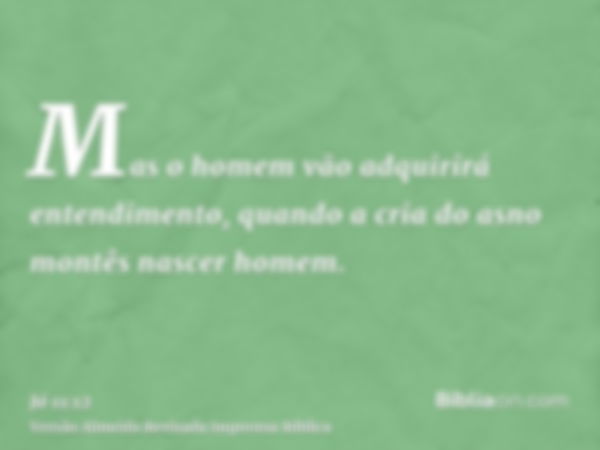 Mas o homem vão adquirirá entendimento, quando a cria do asno montês nascer homem.