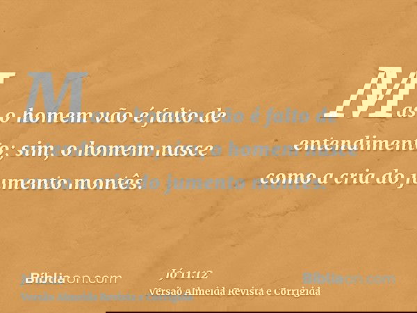 Mas o homem vão é falto de entendimento; sim, o homem nasce como a cria do jumento montês.