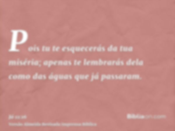 Pois tu te esquecerás da tua miséria; apenas te lembrarás dela como das águas que já passaram.