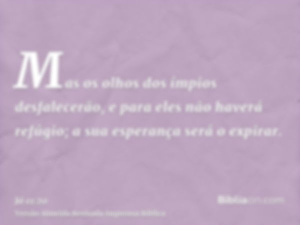 Mas os olhos dos ímpios desfalecerão, e para eles não haverá refúgio; a sua esperança será o expirar.