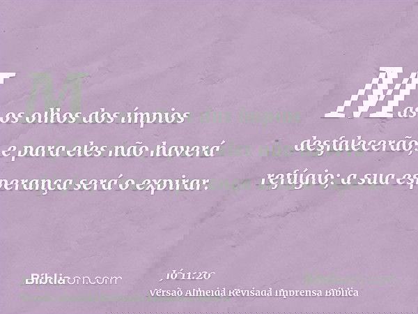 Mas os olhos dos ímpios desfalecerão, e para eles não haverá refúgio; a sua esperança será o expirar.