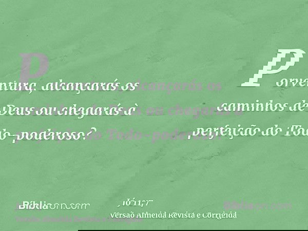 Porventura, alcançarás os caminhos de Deus ou chegarás à perfeição do Todo-poderoso?