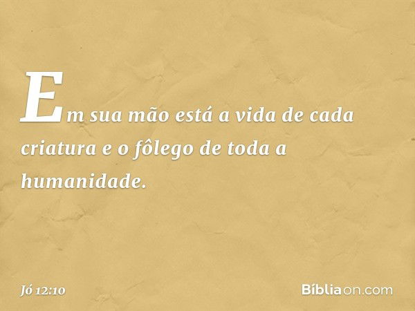 Em sua mão
está a vida de cada criatura
e o fôlego de toda a humanidade. -- Jó 12:10