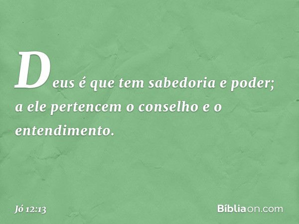 Jo 12 13 Biblia