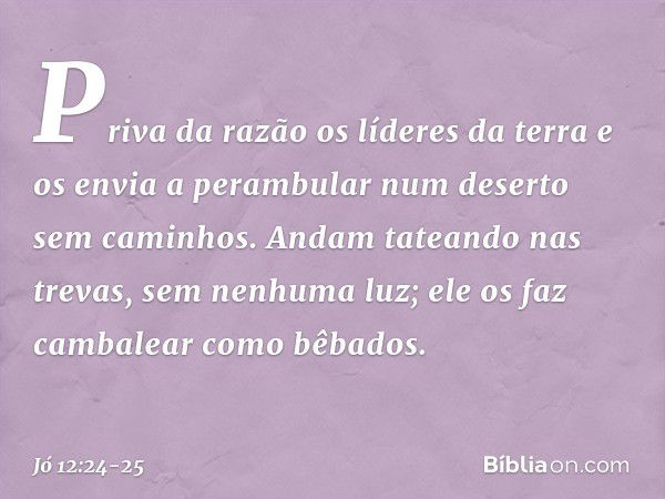 Priva da razão os líderes da terra
e os envia a perambular
num deserto sem caminhos. Andam tateando nas trevas,
sem nenhuma luz;
ele os faz cambalear como bêbad