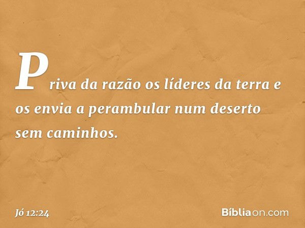 Priva da razão os líderes da terra
e os envia a perambular
num deserto sem caminhos. -- Jó 12:24