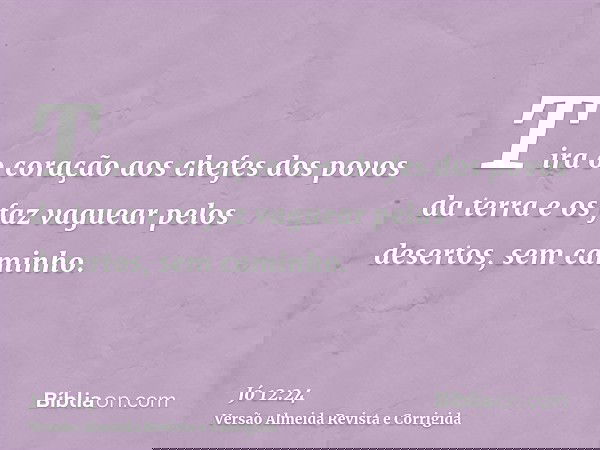 Tira o coração aos chefes dos povos da terra e os faz vaguear pelos desertos, sem caminho.