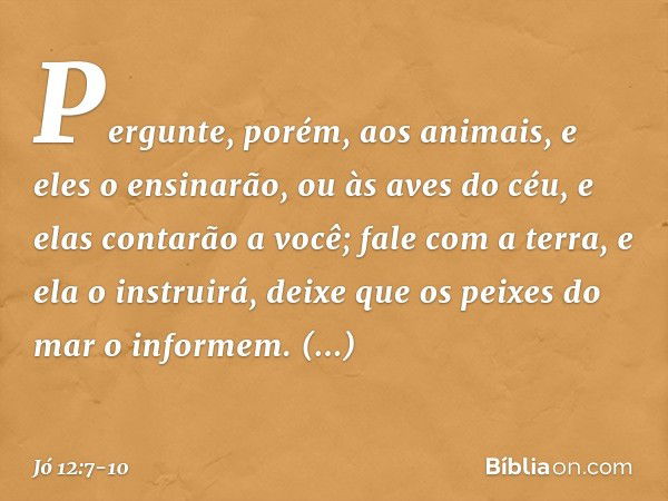 "Pergunte, porém, aos animais,
e eles o ensinarão,
ou às aves do céu, e elas contarão a você; fale com a terra, e ela o instruirá,
deixe que os peixes do mar
o 