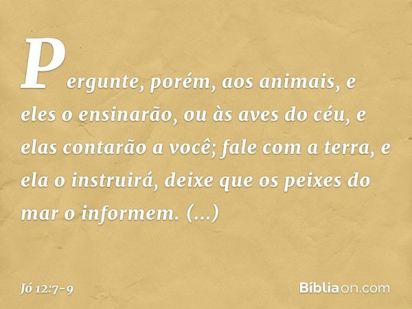 "Pergunte, porém, aos animais,
e eles o ensinarão,
ou às aves do céu, e elas contarão a você; fale com a terra, e ela o instruirá,
deixe que os peixes do mar
o 