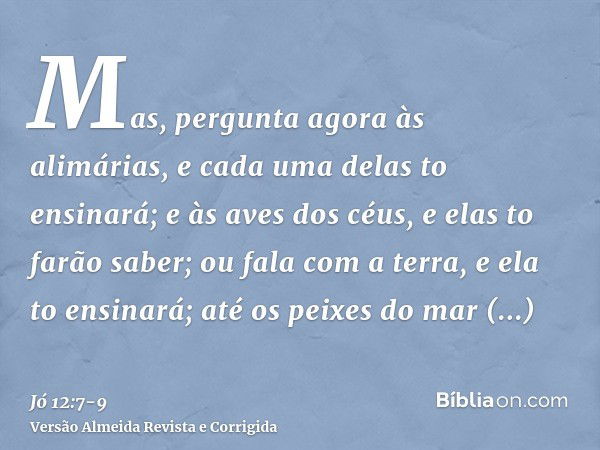 Mas, pergunta agora às alimárias, e cada uma delas to ensinará; e às aves dos céus, e elas to farão saber;ou fala com a terra, e ela to ensinará; até os peixes 