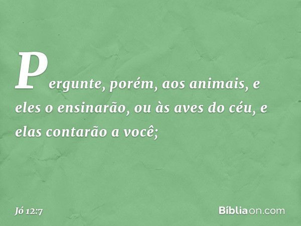 "Pergunte, porém, aos animais,
e eles o ensinarão,
ou às aves do céu, e elas contarão a você; -- Jó 12:7