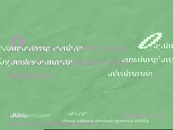 ou fala com a terra, e ela te ensinará; até os peixes o mar to declararão.