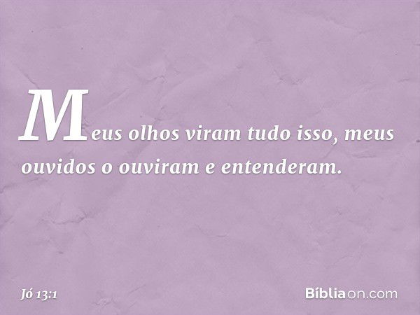 "Meus olhos viram tudo isso,
meus ouvidos o ouviram
e entenderam. -- Jó 13:1