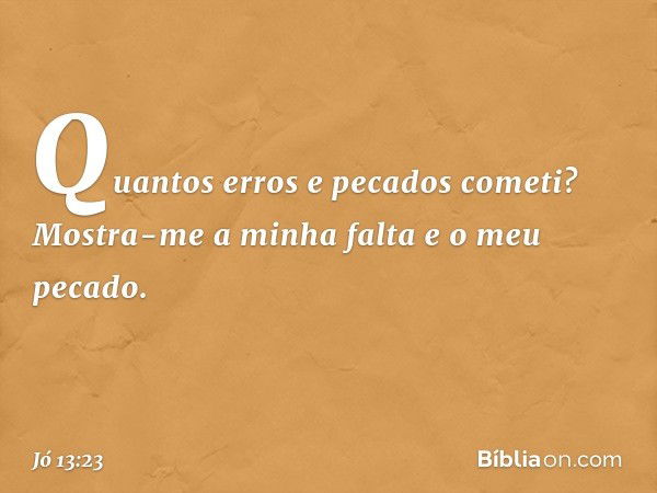 Quantos erros e pecados cometi?
Mostra-me a minha falta
e o meu pecado. -- Jó 13:23