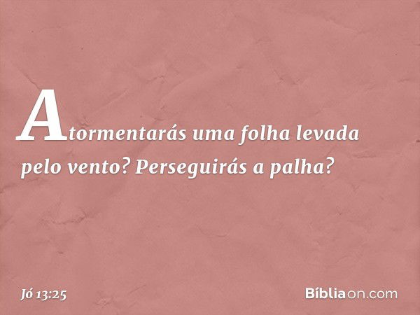 Atormentarás uma folha
levada pelo vento?
Perseguirás a palha? -- Jó 13:25