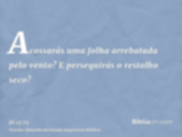 Acossarás uma folha arrebatada pelo vento? E perseguirás o restolho seco?