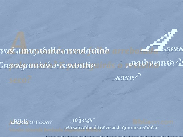 Acossarás uma folha arrebatada pelo vento? E perseguirás o restolho seco?