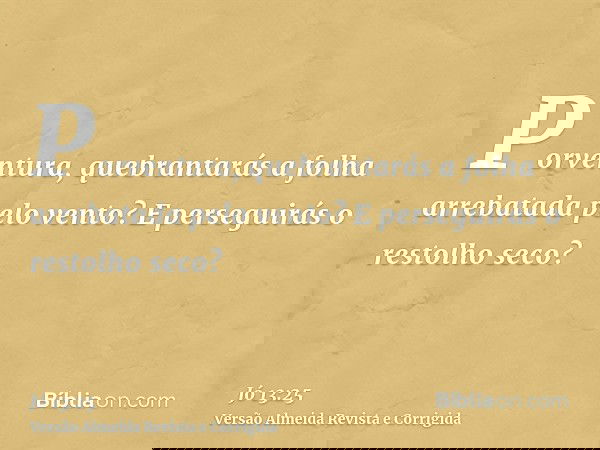 Porventura, quebrantarás a folha arrebatada pelo vento? E perseguirás o restolho seco?
