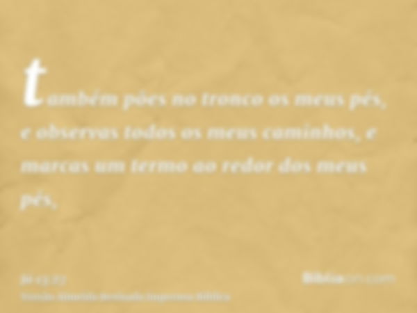 também pões no tronco os meus pés, e observas todos os meus caminhos, e marcas um termo ao redor dos meus pés,