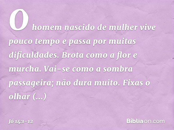 "O homem nascido de mulher
vive pouco tempo
e passa por muitas dificuldades. Brota como a flor e murcha.
Vai-se como a sombra passageira;
não dura muito. Fixas 