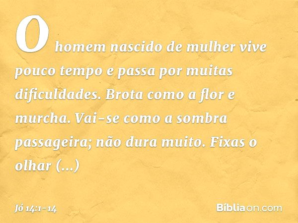 "O homem nascido de mulher
vive pouco tempo
e passa por muitas dificuldades. Brota como a flor e murcha.
Vai-se como a sombra passageira;
não dura muito. Fixas 