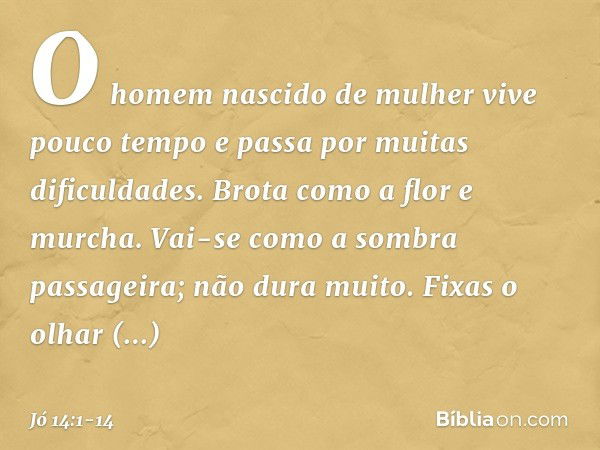 "O homem nascido de mulher
vive pouco tempo
e passa por muitas dificuldades. Brota como a flor e murcha.
Vai-se como a sombra passageira;
não dura muito. Fixas 