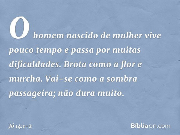 "O homem nascido de mulher
vive pouco tempo
e passa por muitas dificuldades. Brota como a flor e murcha.
Vai-se como a sombra passageira;
não dura muito. -- Jó 