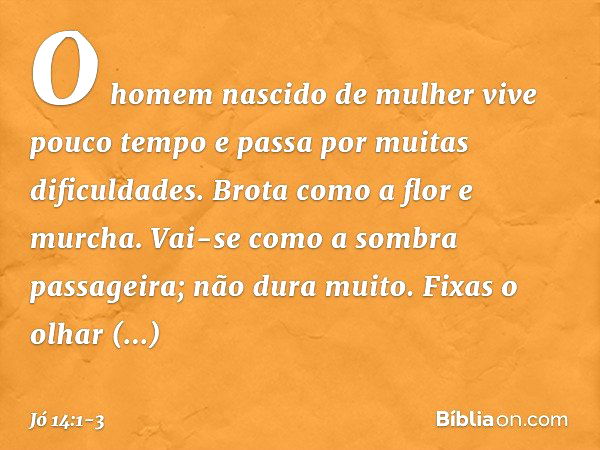 "O homem nascido de mulher
vive pouco tempo
e passa por muitas dificuldades. Brota como a flor e murcha.
Vai-se como a sombra passageira;
não dura muito. Fixas 