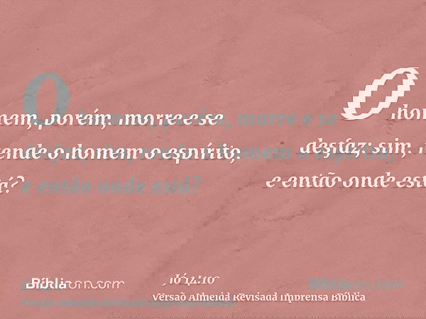 O homem, porém, morre e se desfaz; sim, rende o homem o espírito, e então onde está?