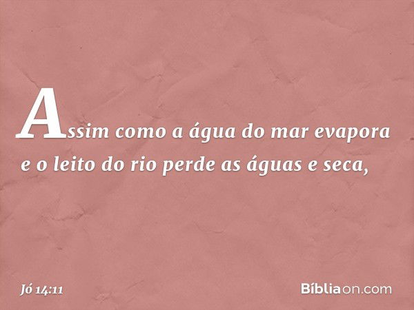 Assim como a água do mar evapora
e o leito do rio perde as águas e seca, -- Jó 14:11