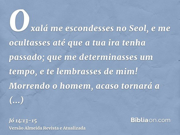 Oxalá me escondesses no Seol, e me ocultasses até que a tua ira tenha passado; que me determinasses um tempo, e te lembrasses de mim!Morrendo o homem, acaso tor