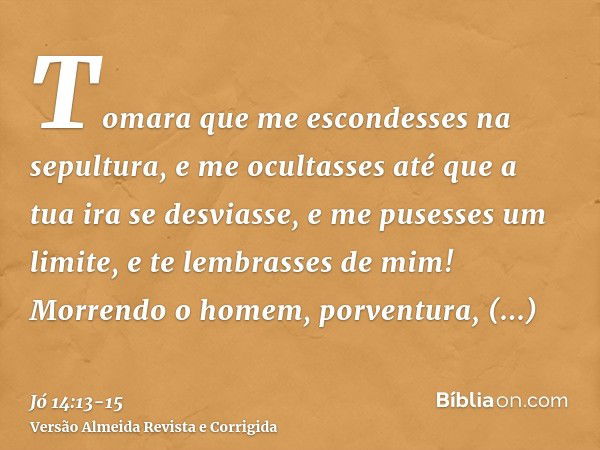 Tomara que me escondesses na sepultura, e me ocultasses até que a tua ira se desviasse, e me pusesses um limite, e te lembrasses de mim!Morrendo o homem, porven