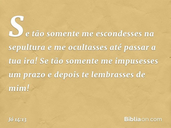 "Se tão somente me escondesses
na sepultura
e me ocultasses até passar a tua ira!
Se tão somente me impusesses
um prazo
e depois te lembrasses de mim! -- Jó 14: